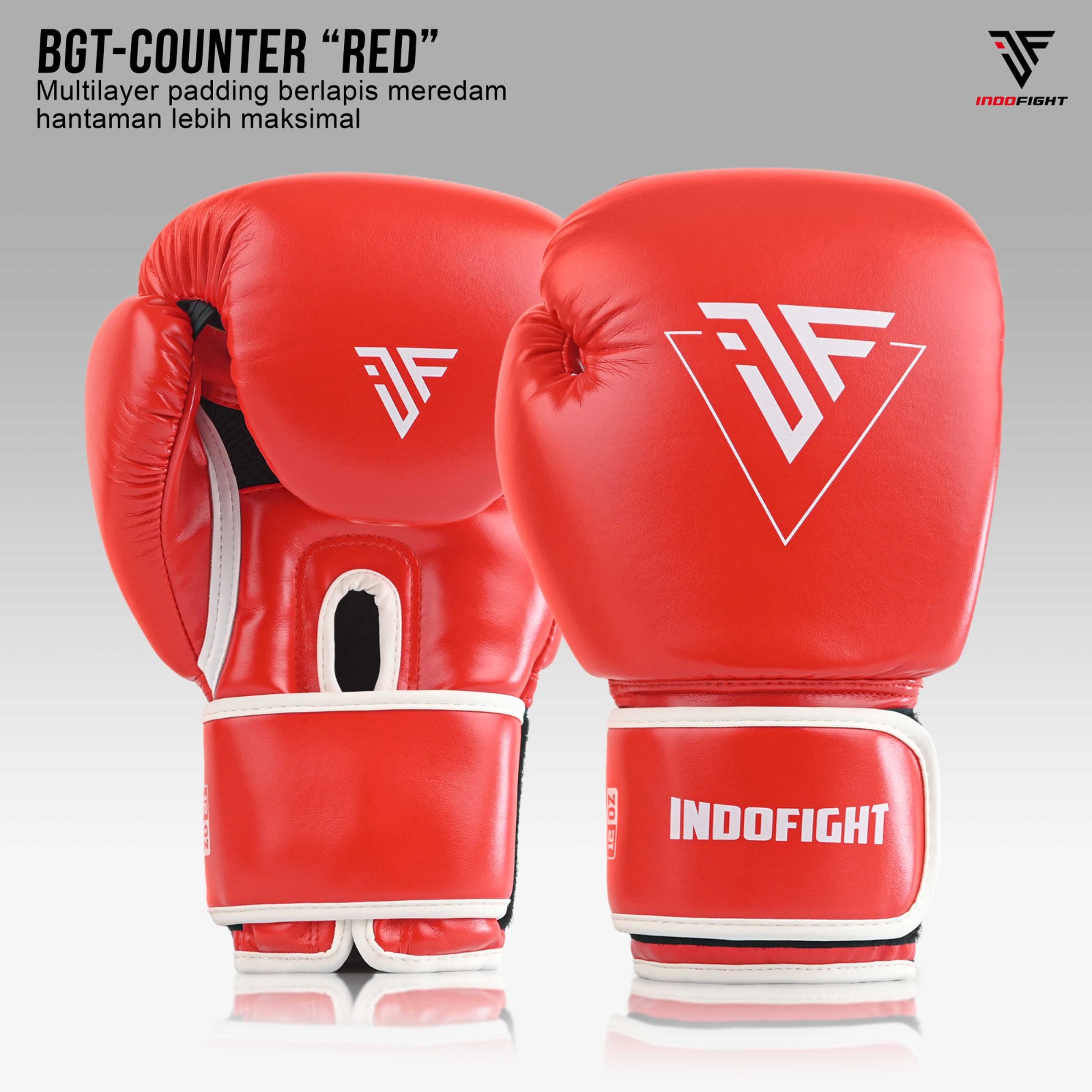 Sarung Tinju Boxing Gloves Muay Thai Kickboxing HOOK 10 12 Oz - Image 2